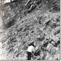 Image:  East Gippsland Sites of Significance