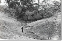 Image:  East Gippsland Sites of Significance