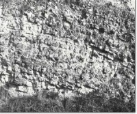 Image:  East Gippsland Sites of Significance