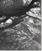 Image:  East Gippsland Sites of Significance