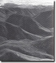 Image:  East Gippsland Sites of Significance
