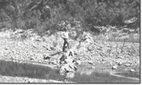 Image:  East Gippsland Sites of Significance
