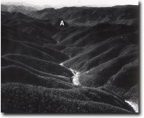 Image:  East Gippsland Sites of Significance