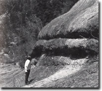 Image:  East Gippsland Sites of Significance