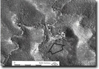 Image:  East Gippsland Sites of Significance