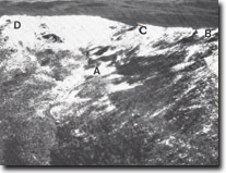 Image:  East Gippsland Sites of Significance