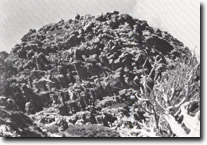Image:  East Gippsland Sites of Significance