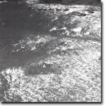 Image:  East Gippsland Sites of Significance