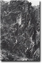 Image:  East Gippsland Sites of Significance