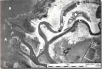 Image:  East Gippsland Sites of Significance