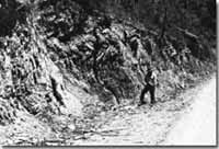 Image:  East Gippsland Sites of Significance
