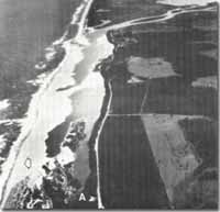 Image:  East Gippsland Sites of Significance