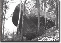 Image:  East Gippsland Sites of Significance