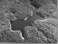 Image:  East Gippsland Sites of Significance