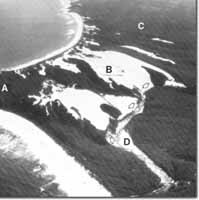 Image:  East Gippsland Sites of Significance