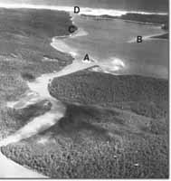 Image:  East Gippsland Sites of Significance