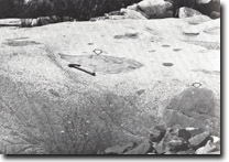 Image:  East Gippsland Sites of Significance