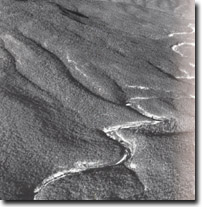Image:  East Gippsland Sites of Significance