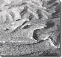 Image:  East Gippsland Sites of Significance