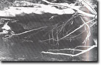Image:  East Gippsland Sites of Significance