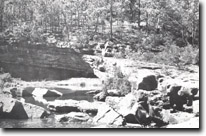 Image:  East Gippsland Sites of Significance