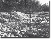 Image:  East Gippsland Sites of Significance