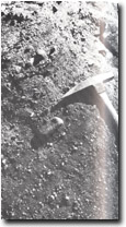 Image:  East Gippsland Sites of Significance