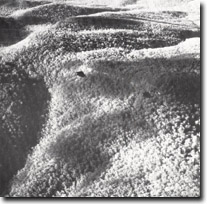 Image:  East Gippsland Sites of Significance
