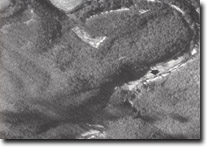 Image:  East Gippsland Sites of Significance