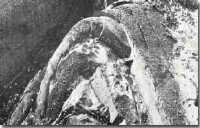 Image:  East Gippsland Sites of Significance