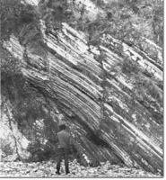 Image:  East Gippsland Sites of Significance