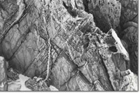 Image:  East Gippsland Sites of Significance