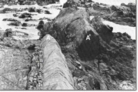 Image:  East Gippsland Sites of Significance