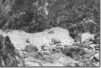 Image:  East Gippsland Sites of Significance