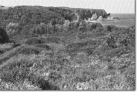 Image:  East Gippsland Sites of Significance