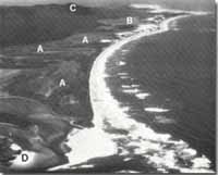 Image:  East Gippsland Sites of Significance