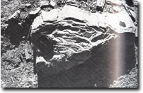 Image:  East Gippsland Sites of Significance