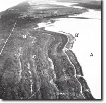 Image:  East Gippsland Sites of Significance