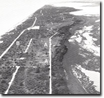 Image:  East Gippsland Sites of Significance