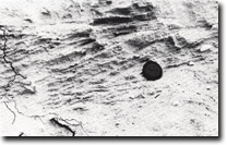 Image:  East Gippsland Sites of Significance