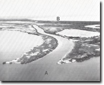 Image:  East Gippsland Sites of Significance