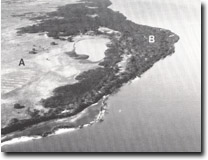 Image:  East Gippsland Sites of Significance