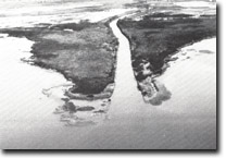 Image:  East Gippsland Sites of Significance