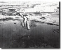Image:  East Gippsland Sites of Significance