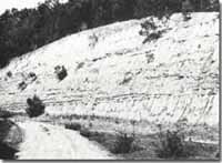 Image:  East Gippsland Sites of Significance