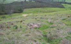 Tunnel erosion in East Gippsland Appendix 5