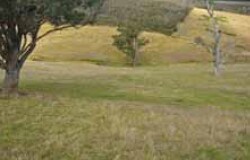 Tunnel erosion in East Gippsland Appendix 5