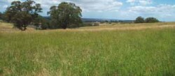 Tunnel erosion in East Gippsland December 2004
