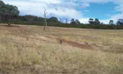 Tunnel erosion in East Gippsland fig 26a