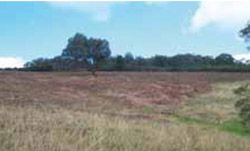 Tunnel erosion in East Gippsland fig 26b